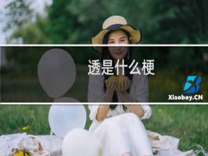 透是什么梗 我透你什么意思什么梗
