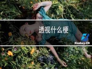 透视什么梗