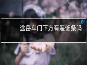 途岳车门下方有装饰条吗