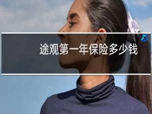 途观第一年保险多少钱