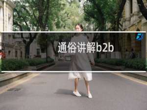 通俗讲解b2b