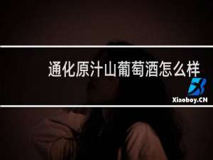 通化原汁山葡萄酒怎么样