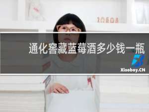 通化窖藏蓝莓酒多少钱一瓶