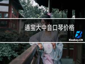 通宝大中音口琴价格