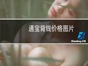 通宝背钱价格图片