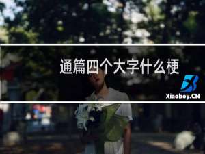 通篇四个大字什么梗？通篇四个大字是什么意思什么梗