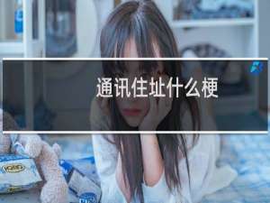 通讯住址什么梗
