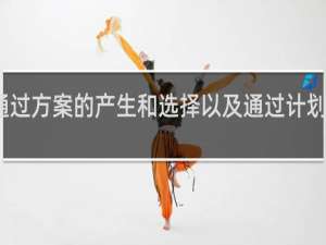 通过方案的产生和选择以及通过计划的制定