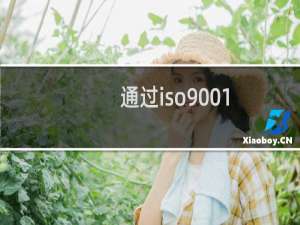 通过iso9001