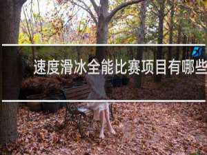 速度滑冰全能比赛项目有哪些