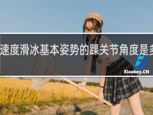 速度滑冰基本姿势的踝关节角度是多少度