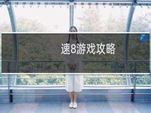 速8游戏攻略