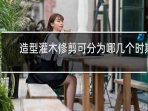 造型灌木修剪可分为哪几个时期