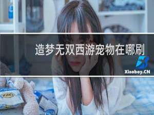 造梦无双西游宠物在哪刷