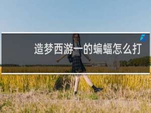 造梦西游一的蝙蝠怎么打
