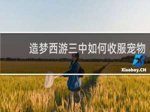 造梦西游三中如何收服宠物