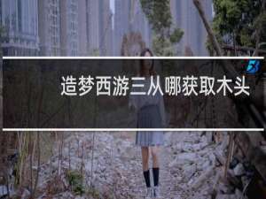 造梦西游三从哪获取木头