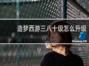 造梦西游三八十级怎么升级