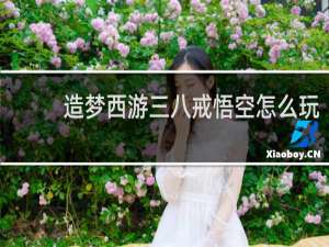 造梦西游三八戒悟空怎么玩