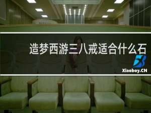 造梦西游三八戒适合什么石