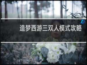造梦西游三双人模式攻略