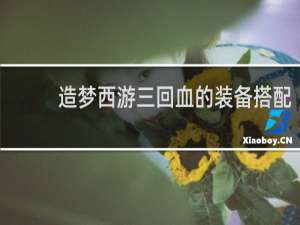 造梦西游三回血的装备搭配