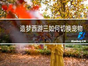 造梦西游三如何切换宠物