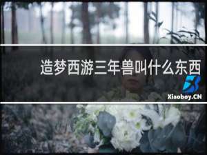 造梦西游三年兽叫什么东西
