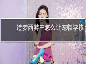 造梦西游三怎么让宠物学技