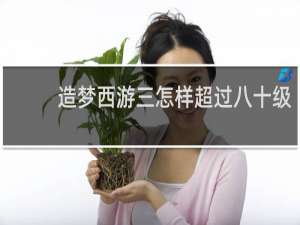 造梦西游三怎样超过八十级
