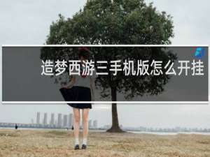 造梦西游三手机版怎么开挂