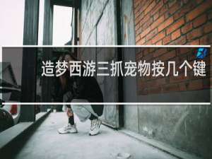 造梦西游三抓宠物按几个键
