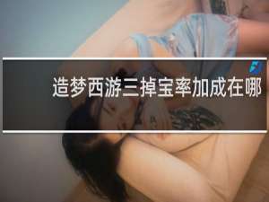 造梦西游三掉宝率加成在哪