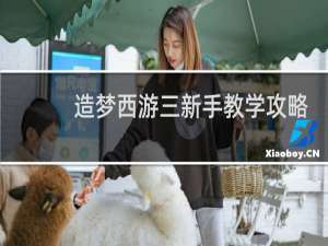 造梦西游三新手教学攻略