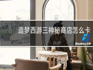 造梦西游三神秘商店怎么卡