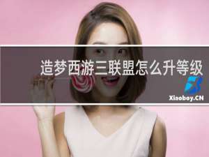 造梦西游三联盟怎么升等级