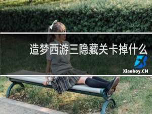造梦西游三隐藏关卡掉什么