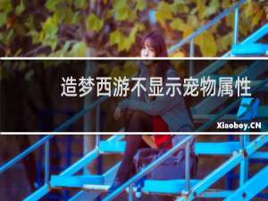 造梦西游不显示宠物属性