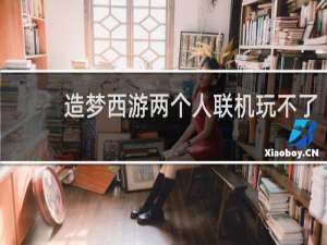 造梦西游两个人联机玩不了