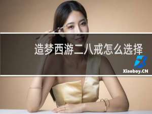 造梦西游二八戒怎么选择