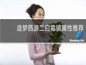 造梦西游二白霜镜属性推荐