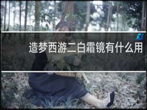 造梦西游二白霜镜有什么用