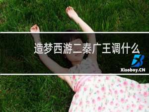 造梦西游二秦广王调什么