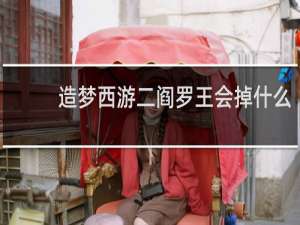 造梦西游二阎罗王会掉什么