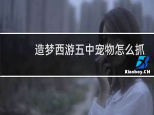 造梦西游五中宠物怎么抓