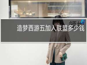 造梦西游五加入联盟多少钱
