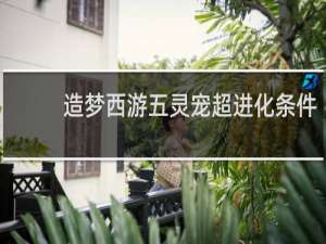 造梦西游五灵宠超进化条件