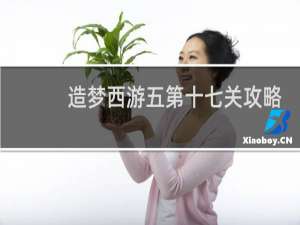 造梦西游五第十七关攻略
