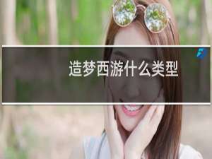 造梦西游什么类型