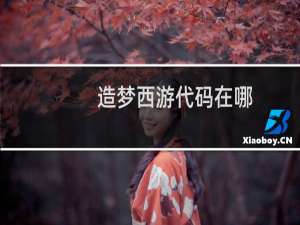 造梦西游代码在哪